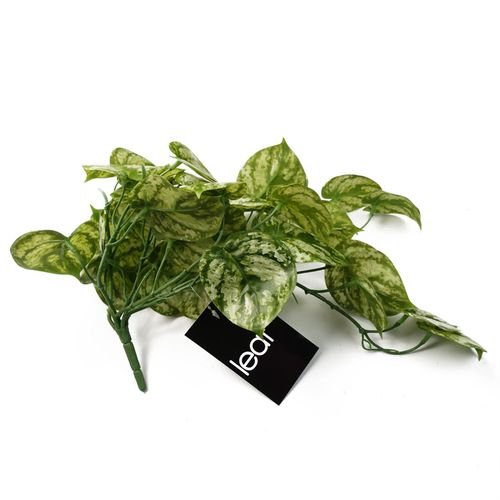 35cm Lush Trailing Green Plant - Perfect for Stunning Displays & Arrangements! - plants - express.com