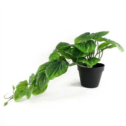 35cm Realistic Potted Pothos Plant - Lifelike Artificial Greenery Display - plants - express.com