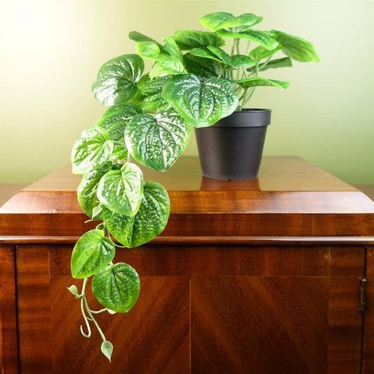 35cm Realistic Potted Pothos Plant - Lifelike Artificial Greenery Display - plants - express.com