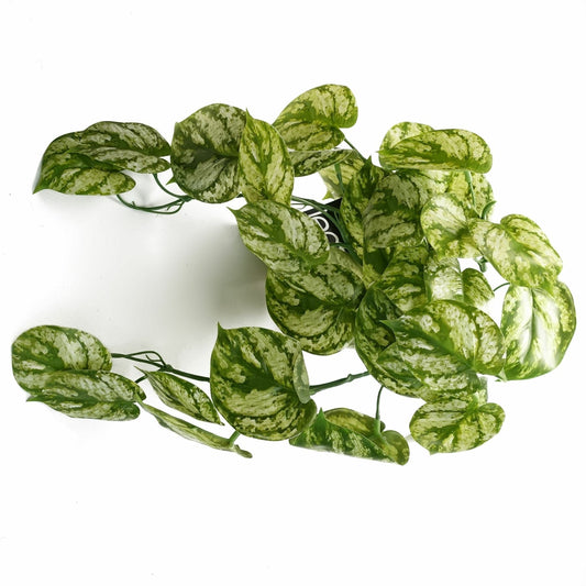35cm Realistic Trailing Faux Plant – Lifelike Greenery for Stunning Displays! - plants - express.com