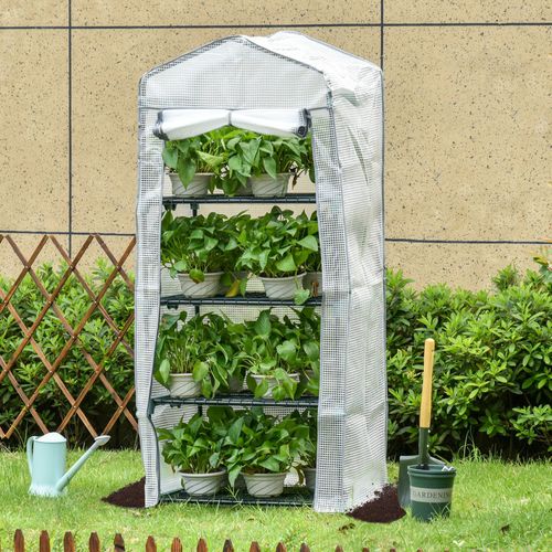4 - Tier Mini Portable Greenhouse with Metal Frame for Easy Plant Growing - plants - express.com