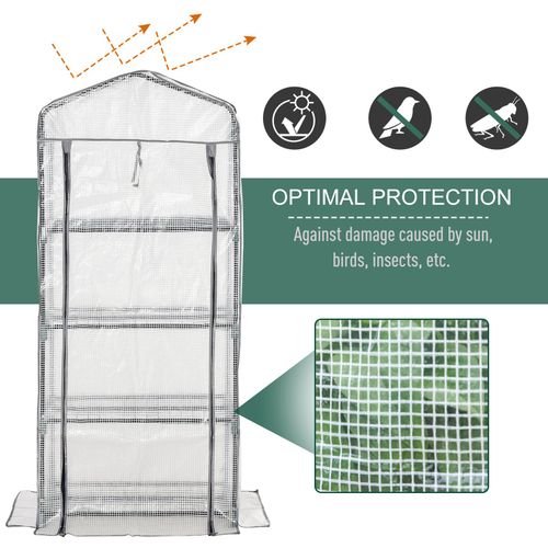 4 - Tier Mini Portable Greenhouse with Metal Frame for Easy Plant Growing - plants - express.com