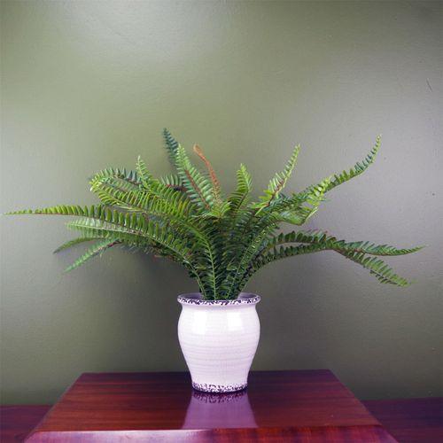 40cm Artificial Bushy Fern Potted in Decorative Planter - plants - express.com