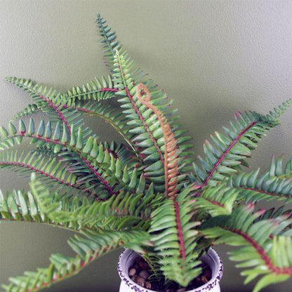 40cm Artificial Bushy Fern Potted in Decorative Planter - plants - express.com