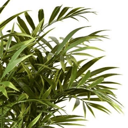 40cm Fire - Resistant Artificial Palm Stem - Perfect Greenery, No Maintenance! - plants - express.com