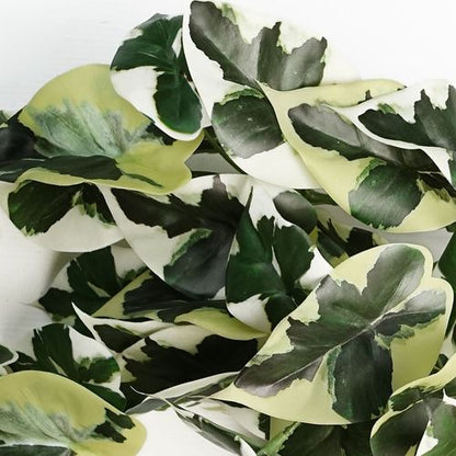 40cm Realistic Variegated Marble Pothos - Lush Trailing Artificial Plant - plants - express.com