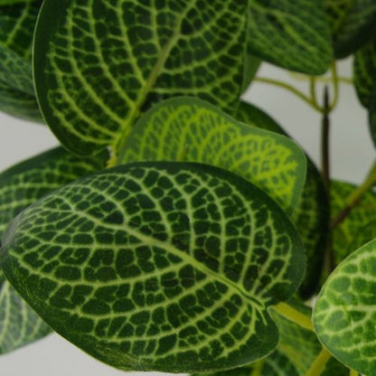 40cm Realistic Variegated Pothos Plant in Stylish Black Pot - Effortless Décor! - plants - express.com