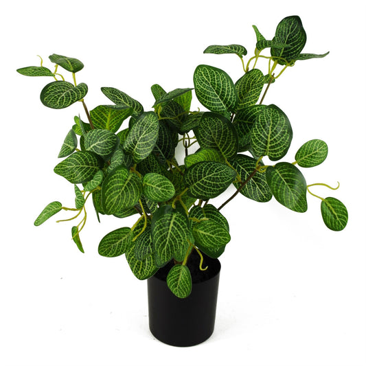 40cm Realistic Variegated Pothos Plant in Stylish Black Pot - Effortless Décor! - plants - express.com
