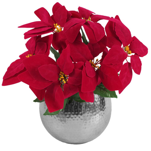 40cm Velvet Touch Red Poinsettia in Stylish Silver Curved Planter - plants - express.com