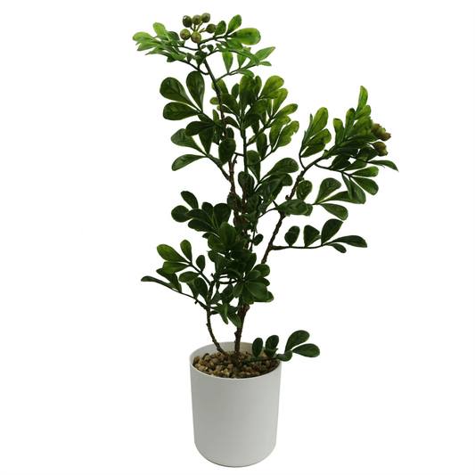 45cm Lifelike Artificial Aglaia Odorata Bonsai Tree – Elegant Indoor Decor - plants - express.com