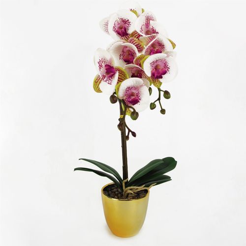 48cm Realistic Pink Harlequin Orchid in Stylish Gold Pot - Perfect Decor! - plants - express.com