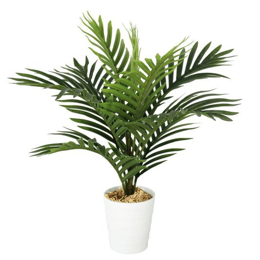 50cm Lifelike Mini Palm Tree - Effortless Greenery for Any Space! - plants - express.com