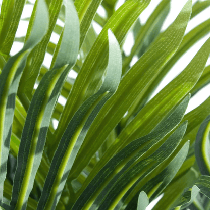 50cm Lifelike Mini Palm Tree - Effortless Greenery for Any Space! - plants - express.com