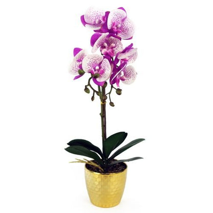 50cm Realistic Purple & White Phalaenopsis Orchid in Elegant Gold Pot - plants - express.com