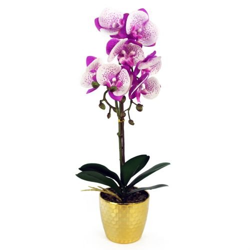 50cm Realistic Purple & White Phalaenopsis Orchid in Elegant Gold Pot - plants - express.com