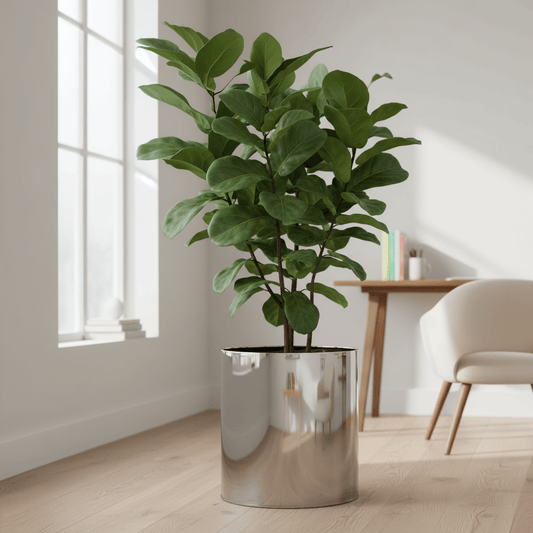 51cm XL Silver Metal Planter - plants - express.com
