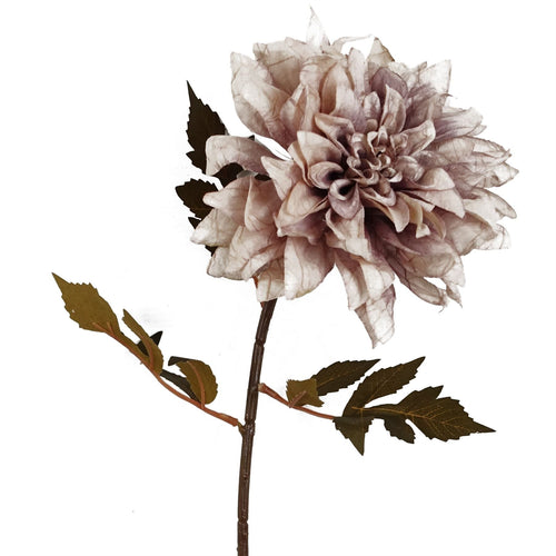 55cm Dusty Pink Dahlia Stem - Elegant Silk Flower for Stunning Arrangements - plants - express.com