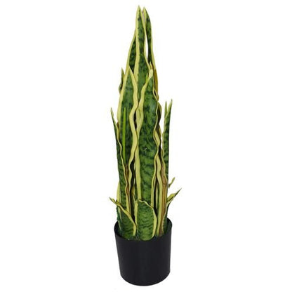 55cm Vibrant Sansevieria Trifasciata - Lifelike Indoor Greenery - plants - express.com