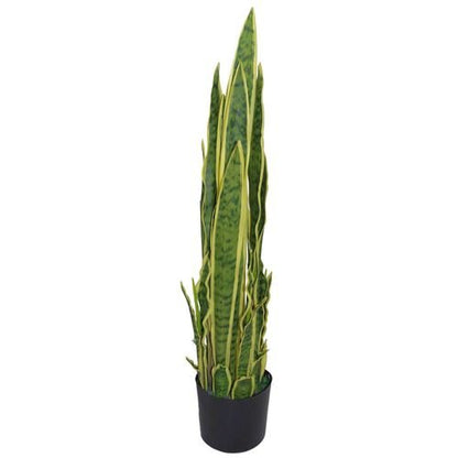 55cm Vibrant Sansevieria Trifasciata - Lifelike Indoor Greenery - plants - express.com