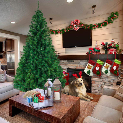 5.5ft 850 Branch Christmas Tree - plants - express.com