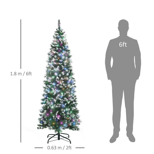 6 Ft Christmas tree - plants - express.com