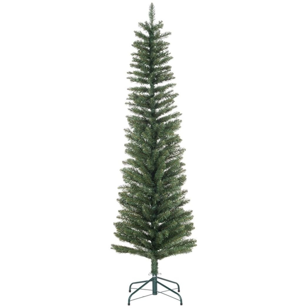 6 Ft Christmas tree - plants - express.com