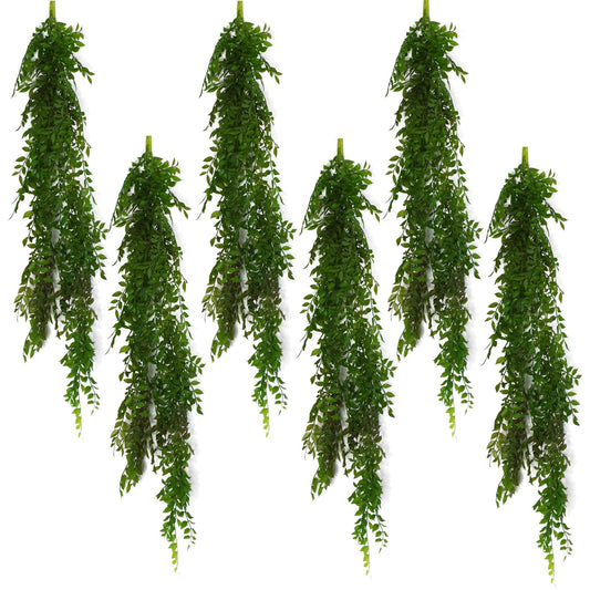 6 - Pack 100cm Dark Green Hanging String of Pearls Fern - Perfect for Any Space! - plants - express.com