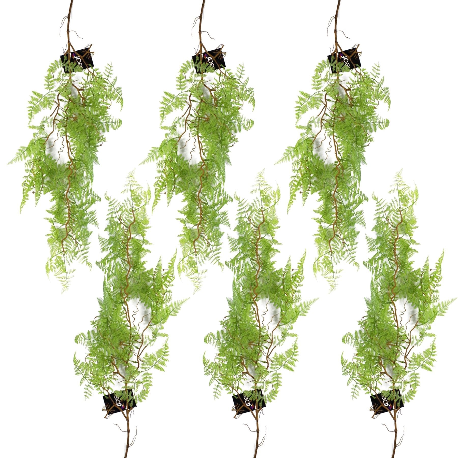 6 - Pack 100cm Faux Hanging Maidenhair Ferns - Vibrant Light Green Décor - plants - express.com