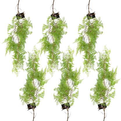 6 - Pack 100cm Faux Hanging Maidenhair Ferns - Vibrant Light Green Décor - plants - express.com