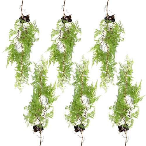 6 - Pack 100cm Faux Hanging Maidenhair Ferns - Vibrant Light Green Décor - plants - express.com