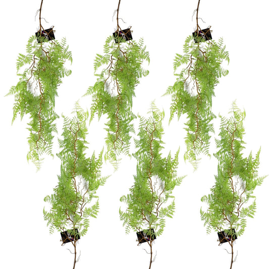 6 - Pack 100cm Faux Hanging Maidenhair Ferns - Vibrant Light Green Décor - plants - express.com