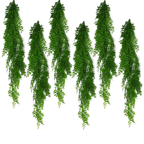 6 - Pack 100cm Light Green Hanging String of Pearls Fern – Elegant Decor - plants - express.com