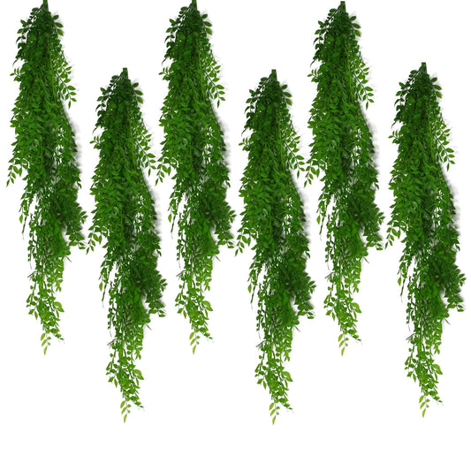 6 - Pack 100cm Light Green Hanging String of Pearls Fern – Elegant Decor - plants - express.com