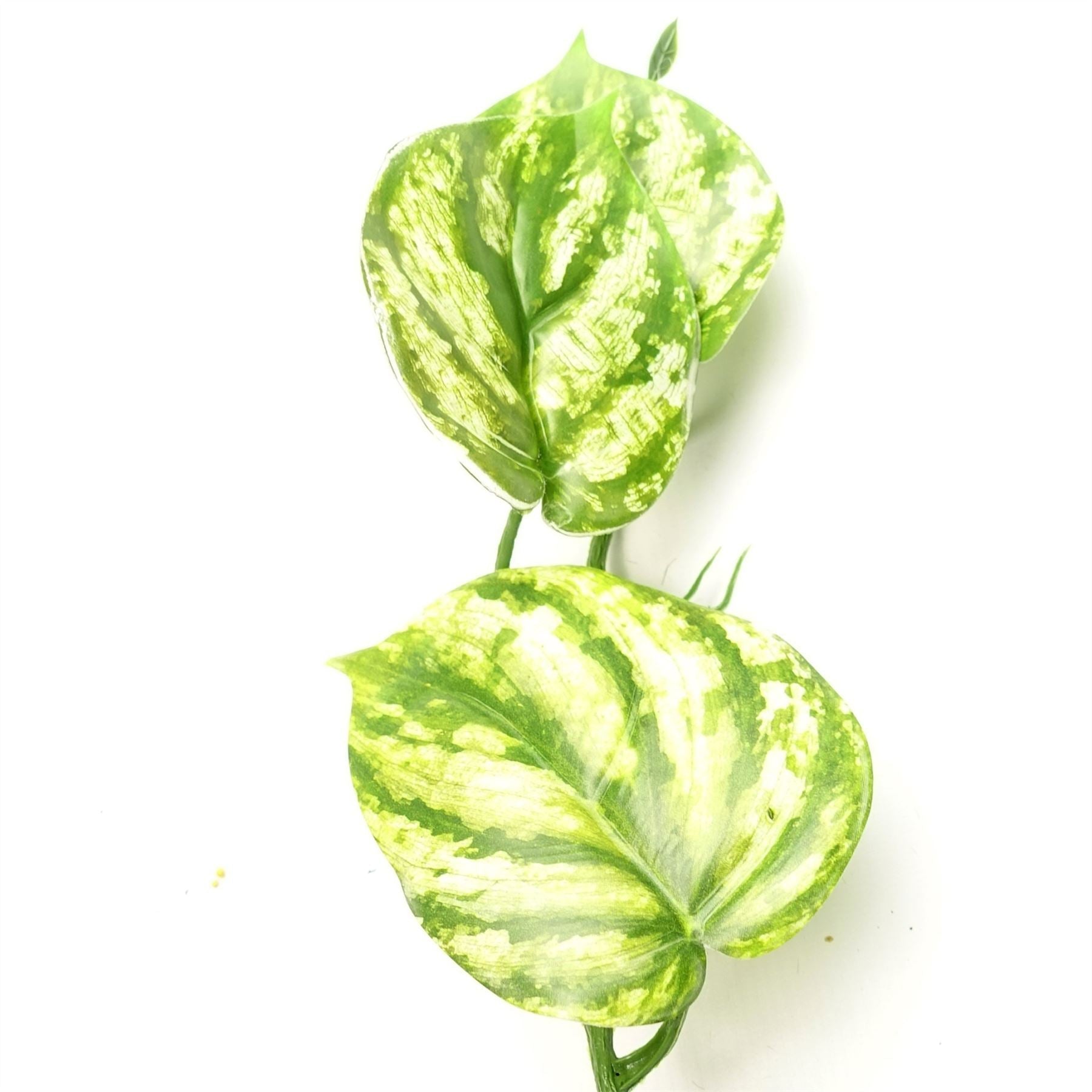 6 - Pack 180cm Lifelike Devil's Ivy Hanging Plants for Stunning Decor - plants - express.com