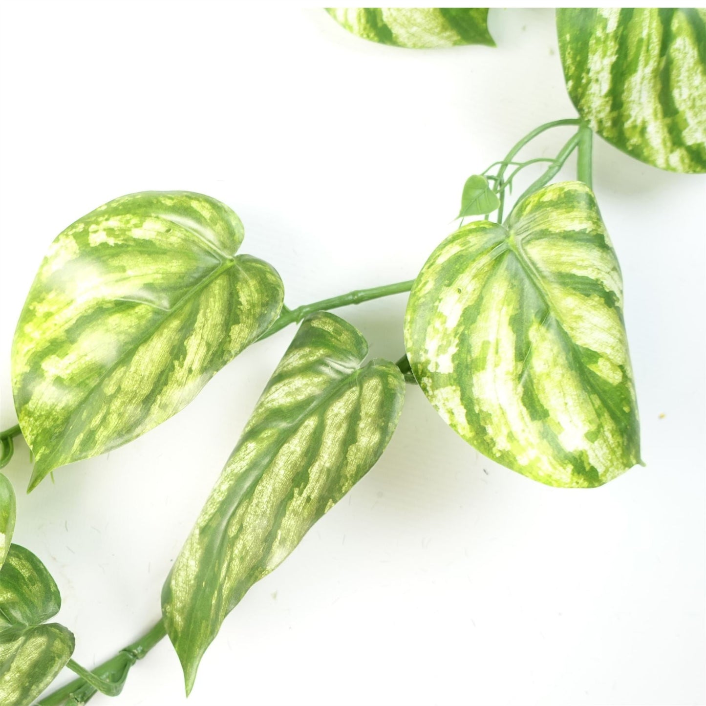 6 - Pack 180cm Lifelike Devil's Ivy Hanging Plants for Stunning Decor - plants - express.com