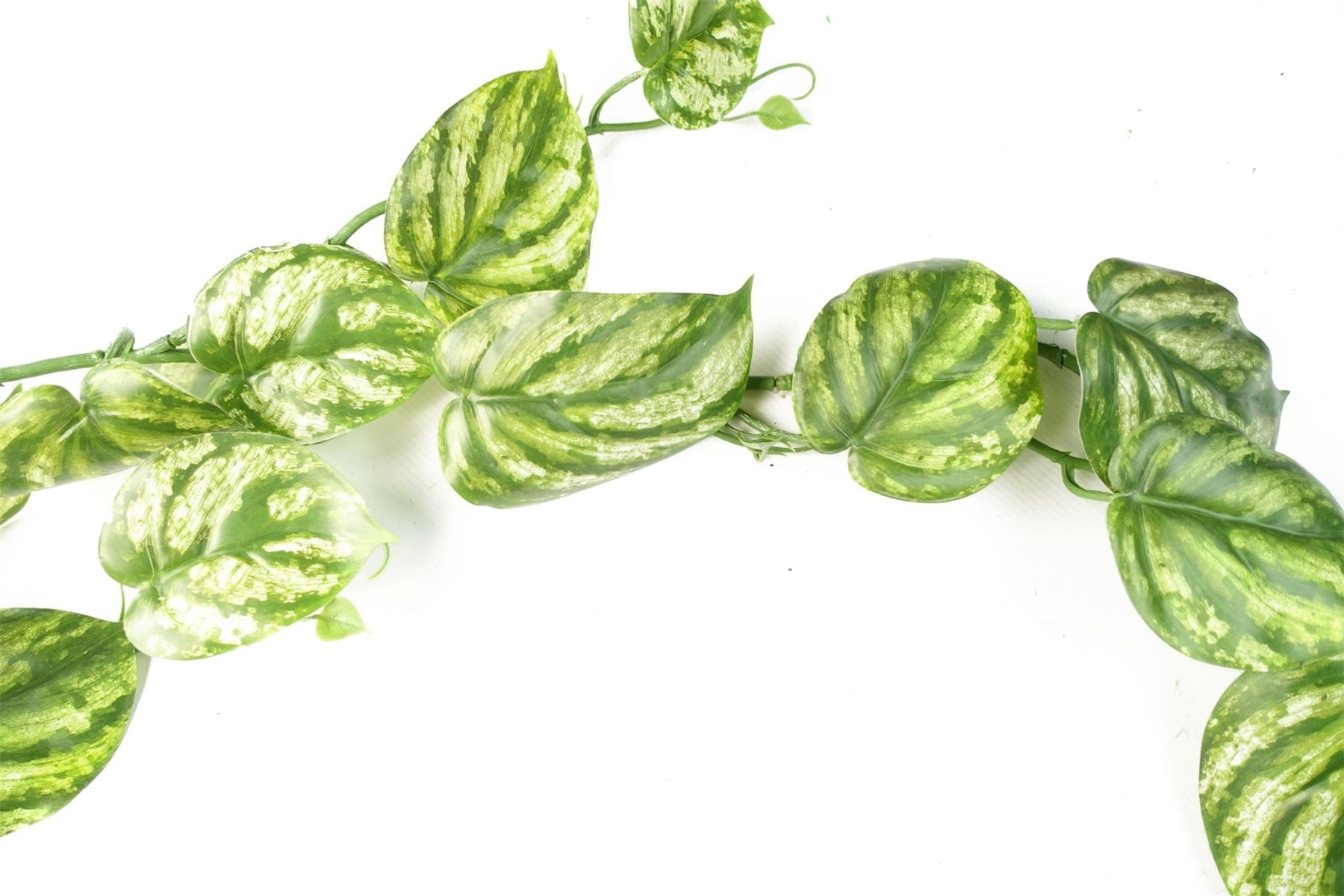 6 - Pack 180cm Lifelike Devil's Ivy Hanging Plants for Stunning Decor - plants - express.com