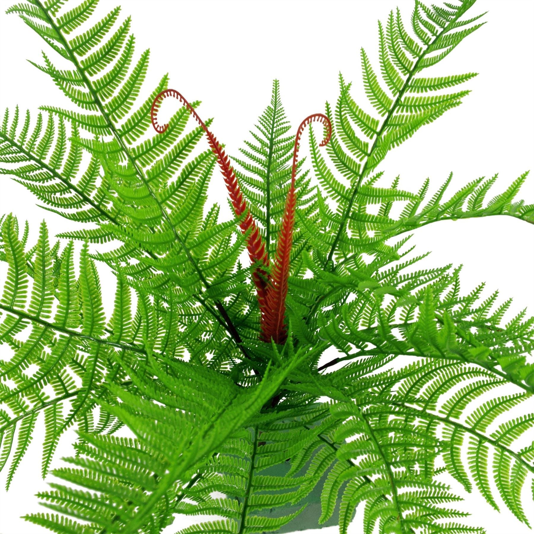 6 - Pack 60cm Realistic Dark Green Artificial Dixie Wood Ferns - No Maintenance! - plants - express.com