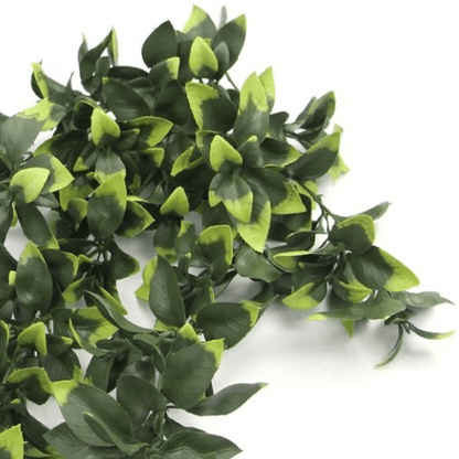 6 - Pack: 71cm UV & Fire Resistant Hanging Pothos Plant - Effortless Greenery! - plants - express.com