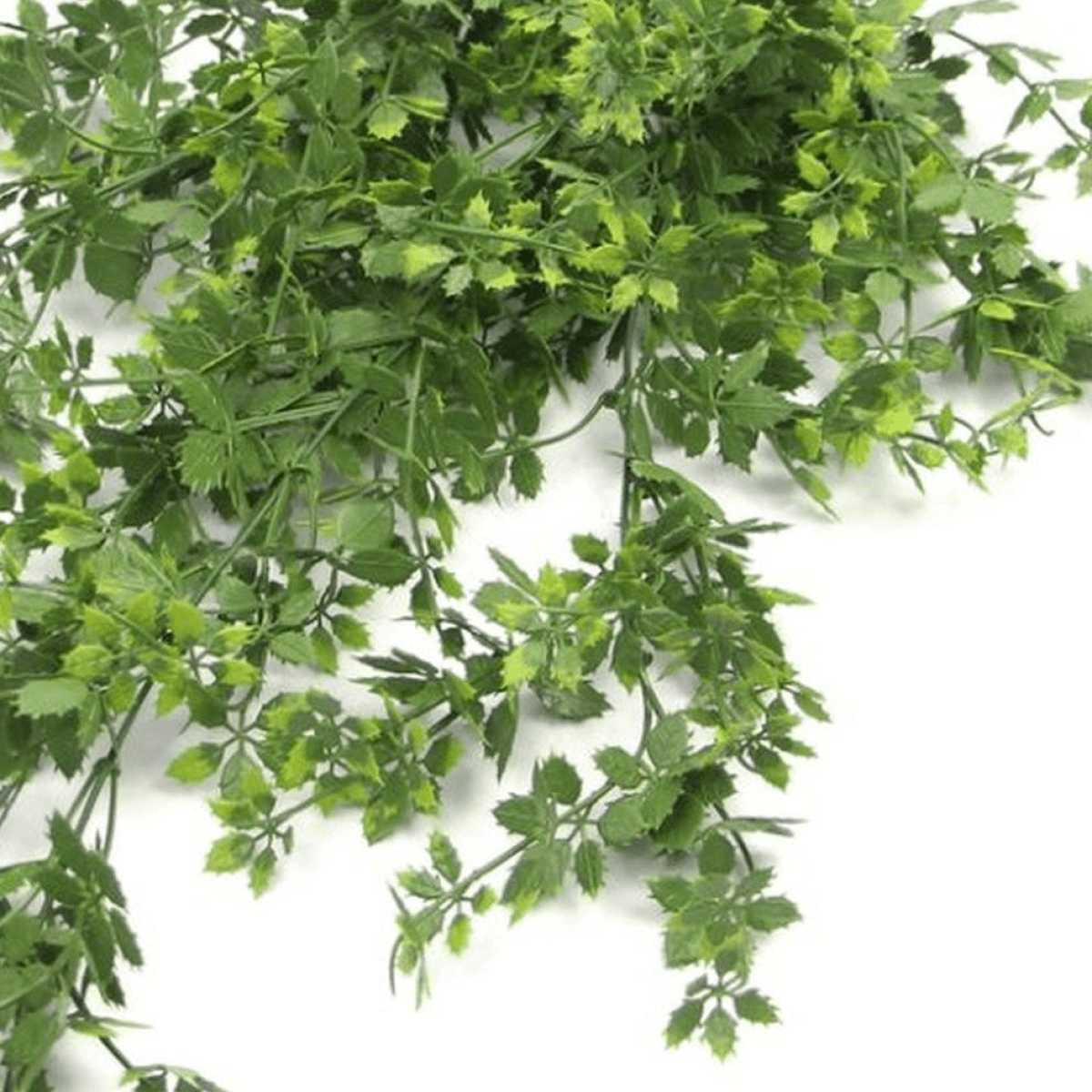 6 - Pack 81cm UV & Fire Resistant Hanging Artificial Foliage - Lush Decor - plants - express.com