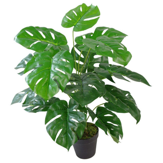 60cm Leaf realistic Artificial Monstera Cheese Plant - plants - express.com
