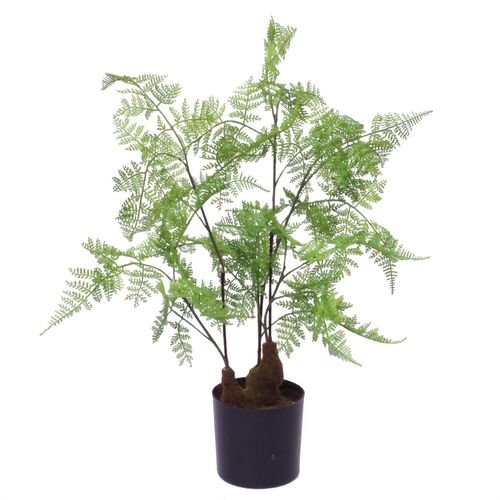 60cm Lifelike Artificial Moss Fern - Elegant Home Décor Plant in Pot - plants - express.com