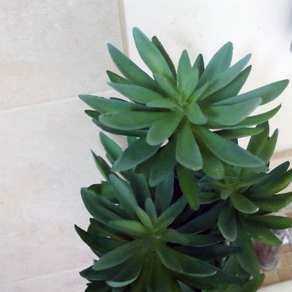 60cm Lifelike Artificial Yukka Palm in Stylish Decorative Planter - plants - express.com