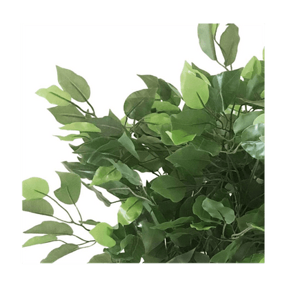 60cm Lifelike Ficus Tree - Stunning Artificial Plant for Any Space - plants - express.com