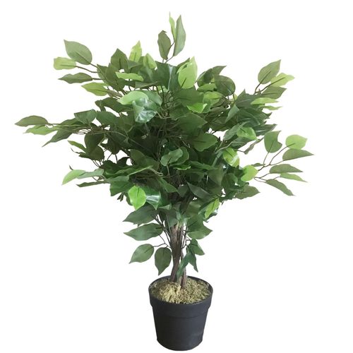60cm Lifelike Ficus Tree - Stunning Artificial Plant for Any Space - plants - express.com