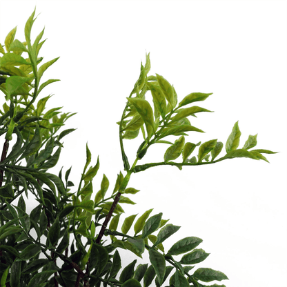 60cm Lifelike Nandina Bonsai Tree – Elegant Indoor Décor with Adjustable Branches - plants - express.com