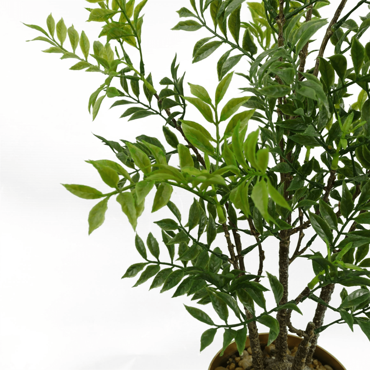 60cm Lifelike Nandina Bonsai Tree – Elegant Indoor Décor with Adjustable Branches - plants - express.com
