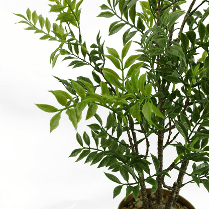 60cm Lifelike Nandina Bonsai Tree – Elegant Indoor Décor with Adjustable Branches - plants - express.com