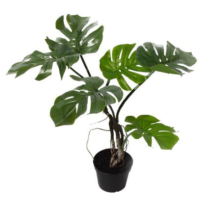 60cm Lifelike Twisted Stem Monstera Plant - Perfect Home Decor Accent - plants - express.com