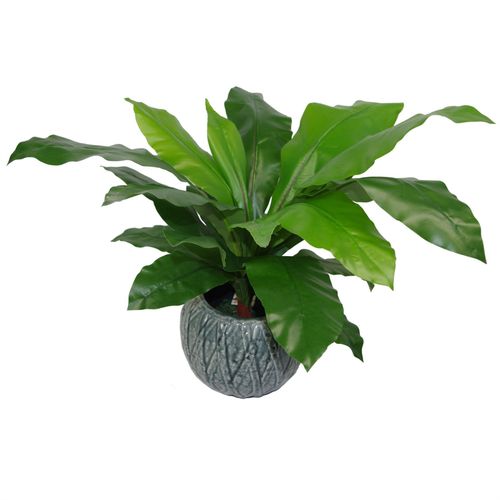60cm Lush Artificial Bird's Nest Fern - Effortless Greenery for Any Space! - plants - express.com