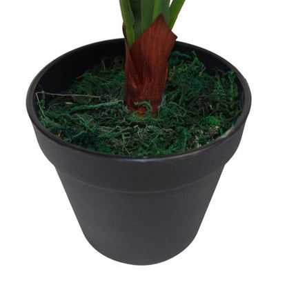 60cm Lush Artificial Bird's Nest Fern - Premium Tropical Décor - plants - express.com